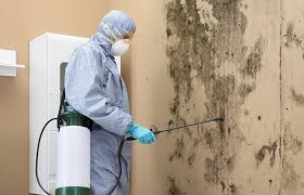 Best Asbestos and Lead Testing During Mold Inspection  in Miamisburg, OH